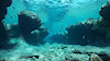 divelefleur