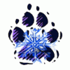 FrostClawStudios