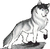 Husky657