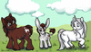 Rdonkey