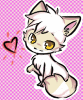 SachiCoon