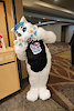 ChimeKitty