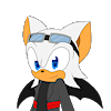 WebDisaster010