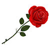 RedRose87