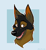 CamoShep11