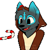 LyykaPaws