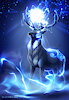 Caribou