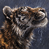 TheTiger