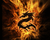 MasterDragon