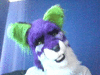 ZeeTheFox