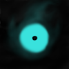 sSpore