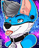 ShinxxP