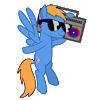 RozyFly10