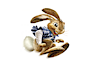 1EasterBunny
