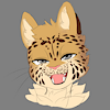 SwivelLeopard