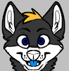 Jdog84
