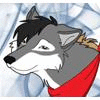 jaysonhusky