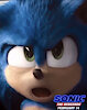 Sonicfan234