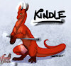 Kindlelover20