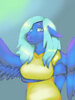 shypony