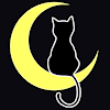 CaptainMooncat