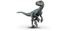 BlueRaptor248