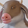 qcow2