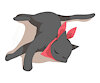 NPCCat