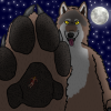 Wolfmorph