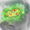 MicrobeFriend