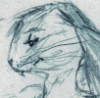 BillyRabbit