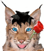 Lynxsev