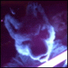 Shadowdawolf