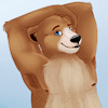 BurrKoda