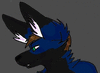XanderFolfsky