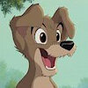 doggy98