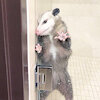 RatAttack