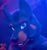 DobieAce