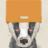 ElusiveBadger