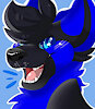 ClassifiedPup24