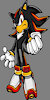 Shadow8134