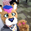 Lionnamedcolin
