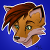 314Coyfox