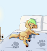 DarcyTheDog