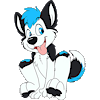 ProHusky
