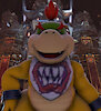 bowserjunior941