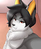 alainfox
