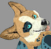 PJcorgi