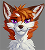 shadowXfox