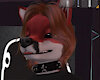 throttlefox1